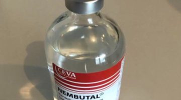 Buy-numbutal-liquid-online